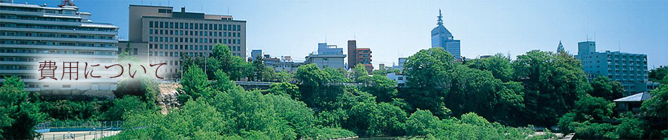 入居費用